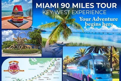 Découvrez la magie de Key West : réservez votre expérience dès aujourd'hui !