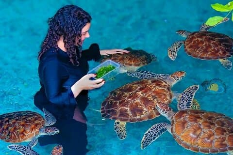 Hoteller i nærheten av Zanzibar Jozani Forest, Salaam Cave Turtles & The Rock Restaurant