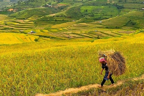 Hanoi till Sapa: 3 - Dagsäventyr med 2 nätter i Ta Van Village