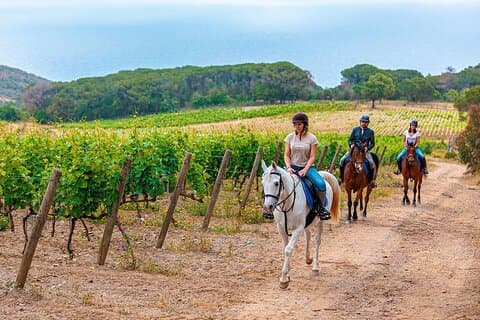 Eksklusiv ridetur og vinsmaking fra Firenze