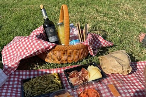 Picknicken Sie zwischen den Weinreben des Vernaccia di San Gimignano