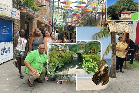 Panoramic Tour of the Reality of the Countryside and Village