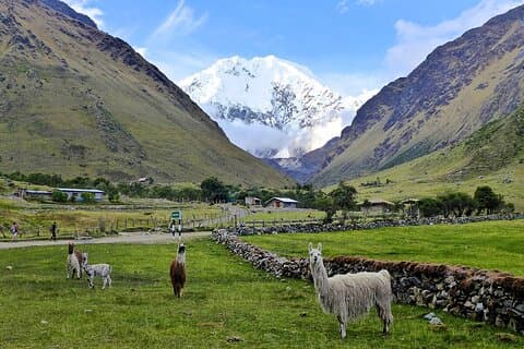 Salkantay Trek 4 giorni a Machu Picchu passando per Humantay Lake