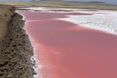 Tour Ballestas Islands and Premium Trekking with Pink Lagoon