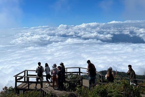 Parque Nacional Doi inthanon + 2 horas de caminata fantástica con almuerzo