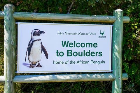 Private Cape høydepunkter tur: Peninsula, pingviner og vingårder