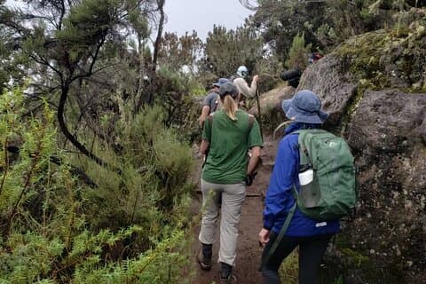 Mount Kilimanjaro Trekking – 6 Days Marangu Route