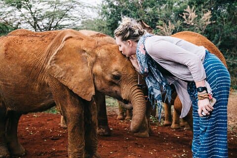 15 dages vilde dyr og bevarelse frivillig erfaring i Kenya