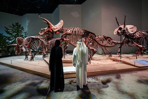 Billett til Zayed National Museum Abu Dhabi