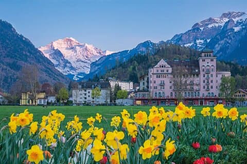 Zurich Private 4WD Transportation Experience