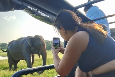 Tour privato del safari in jeep sugli elefanti del Parco nazionale di Minneriya
