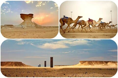West Qatar Desert and Cultural Sites Guided Tour