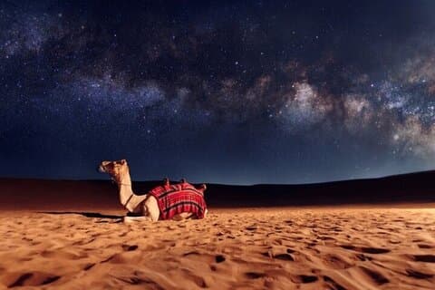 Safari nocturne dans le désert de Doha avec Dune Bashing, observation des étoiles et aventure