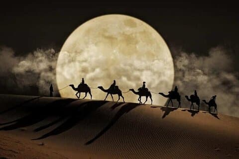 Doha Night Desert Safari Balade à dos de chameau & Bashing des dunes