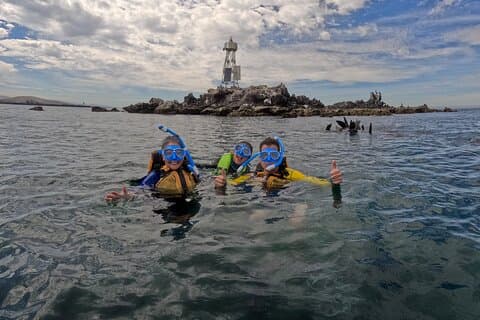 Ideal adventure for Balandra cruises and sea lions