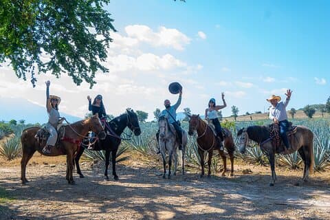 Paseo a caballo de agaves y tequila en El Arenal Jalisco