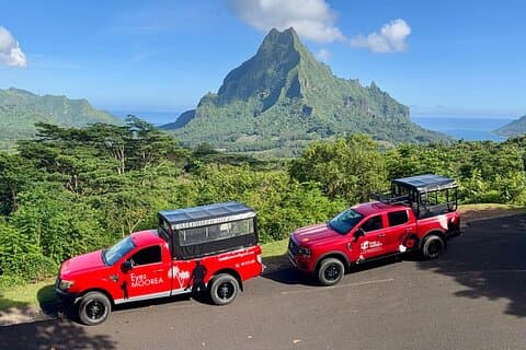 Excursión privada a Moorea, recorrido fotográfico y descubrimiento inmersivo.