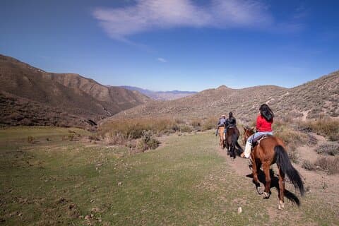Mendoza Mountains Horseback Adventure & BBQ Lunch