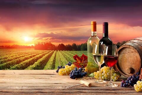 Madrid Weinprobe Private Tour mit Wein Experten
