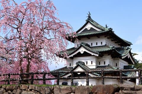 Privé-excursie aan de Aomorikust Hirosaki Castle en Apple Hill
