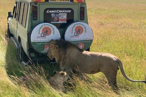 5-dagars Samburu Lake Nakuru och Lake Naivasha Safari Tour