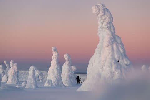 Riisitunturi Mostri della neve Escursione invernale da Rovaniemi con pranzo