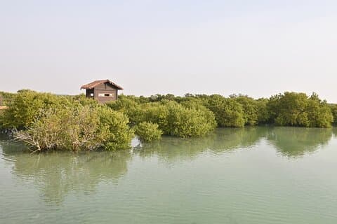 Private North Qatar Tour med Fort Visit