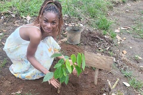 Escursione di riforestazione e piantagione di alberi XP