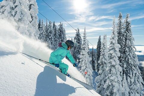Navetta privata Kelowna per Revelstoke