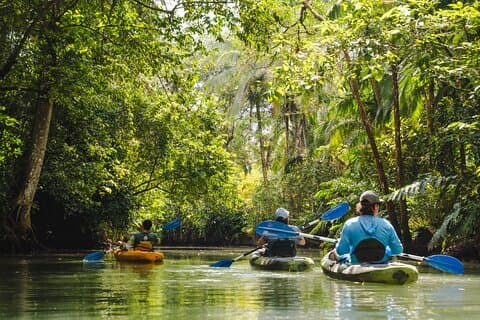 Mangrove Kayak