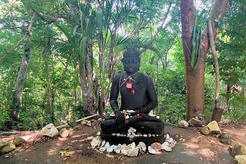Hike Sayulita to The Buddha