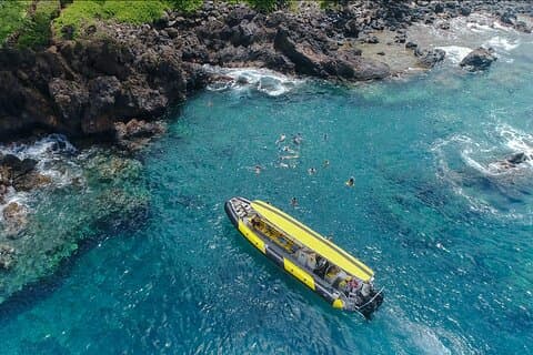 Tour de 3 horas turtle town snorkel and whale watch em Kihei