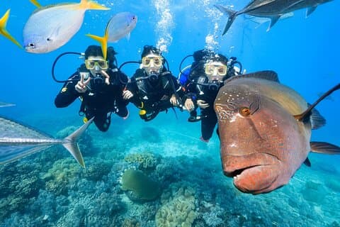 Reef Tour med SCUBA Dive fra Cairns, ponton med aktiviteter