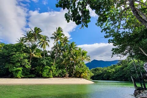 Private Luxury tour Daintree Dream Experience