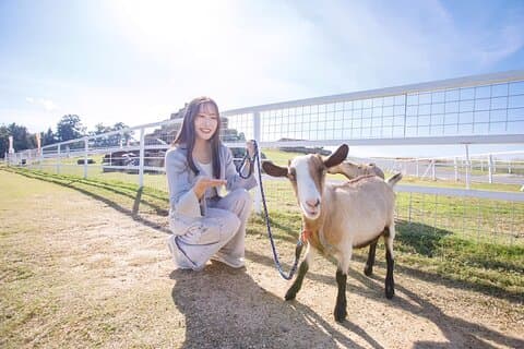 Osaka Animal Encounter Goat Walk at latest Ranches in Kansai