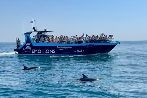 Portimão: 2,5 horas — Avistamiento de delfines — Biólogo a bordo