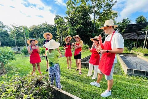 Classe de culinária tailandesa de dia inteiro e passeio de mercado local em Chiang Mai
