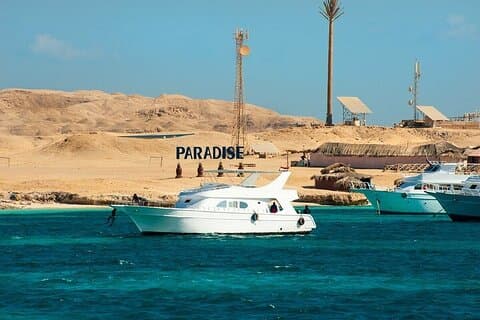 Red Sea Paradise : Évasion sur l'île, plongée en apnée et temps de plage