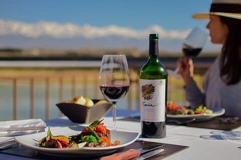 Vinprovning i Uco-dalen med premiumprovningar och gourmetlunch