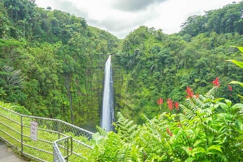 Hilo Finest Waterfalls and Town Tour