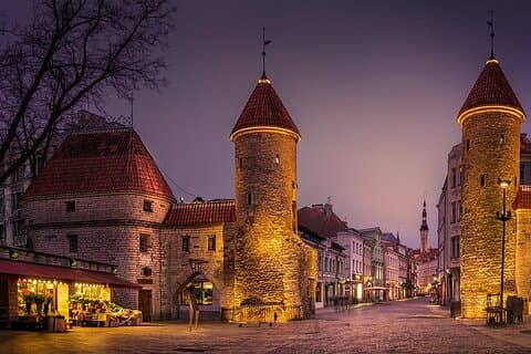 Privat tur til Tallinn fra Cruise Port