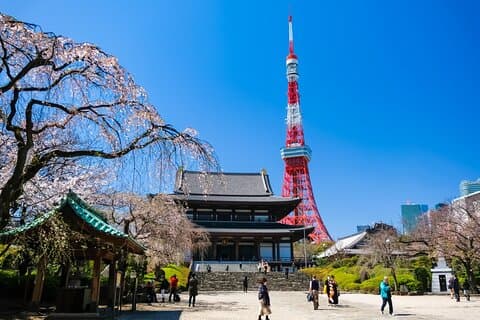 Tokyo Wheelchair-Friendly Custom Day Tour: Asakusa, Tsukiji