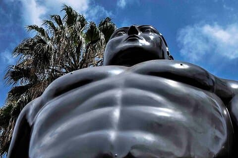 City Tour Medellin Customizable with Art Book Included