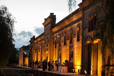 Origin of Wine in Maipu with Roast from Mendoza