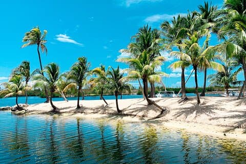 Heritage & Flavors: Privat strandtur från Grand Cayman Port