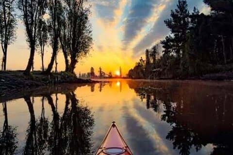 Xochimilco Sunrise Caiaque Axolote