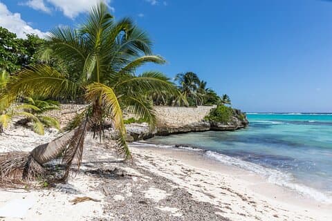 Beach Escape : Excursión privada en tierra desde el puerto de Gran Caimán