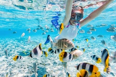 Récifs cachés de la baie de Nha Trang Activité demi-journée de plongée avec tuba