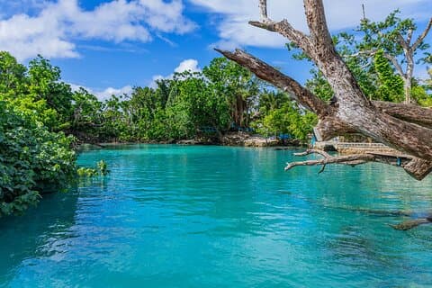 Private Shore Tour: Explore, Discover & Indulge in Port Vila