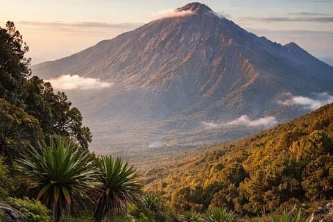Multiday Mount Meru Guided Trek from Moshi or Arusha.